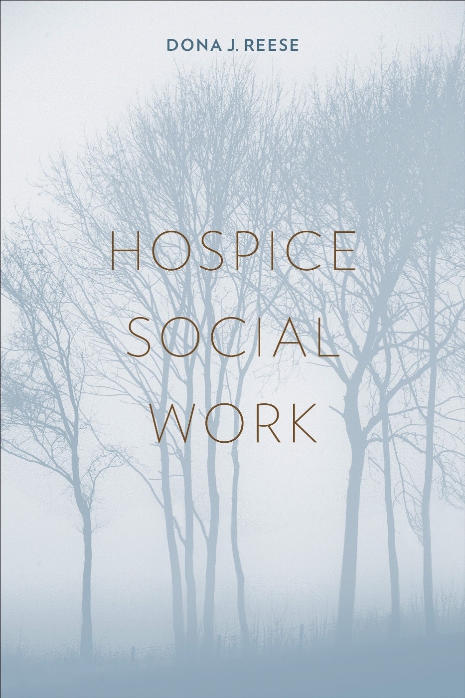 Book cover image for Hospice Social Work ISBN: 9780231134354